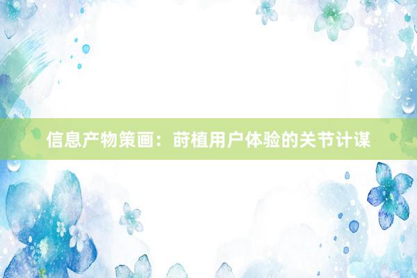 信息产物策画：莳植用户体验的关节计谋
