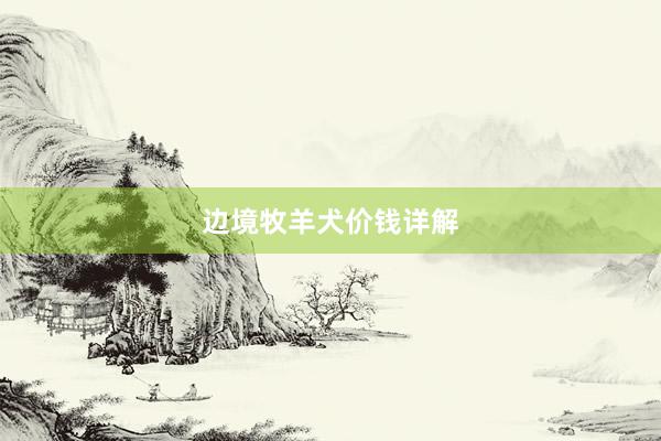 边境牧羊犬价钱详解
