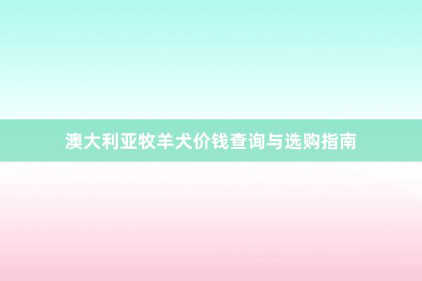 澳大利亚牧羊犬价钱查询与选购指南